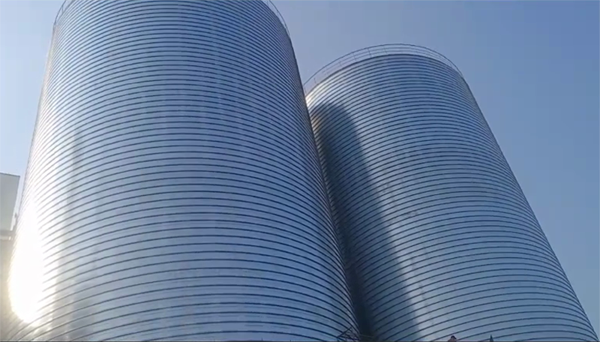 攀枝花2座混凝土高架卷板仓